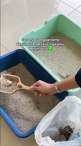 Ngaku siapa yang kucingnya kaya gini juga 😮‍💨🫵🏻