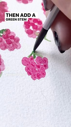 🍓 An easy way to paint raspberries with watercolor #easywatercolor #watercolorflorals #watercolortutorial #arttutorial #art #painting | Painted Wildflowers