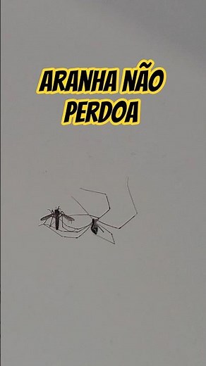 Aranha Treme-treme