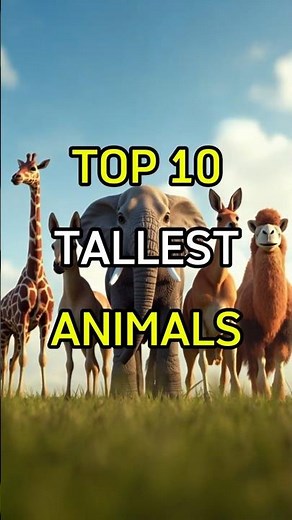 Top 10 tallest animals in the world – Their SIZE will STUN you!