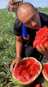 439K views · 18 reactions | Wao!!! Such a Wonderful Fruit Farm!!! | Pure Village | Facebook