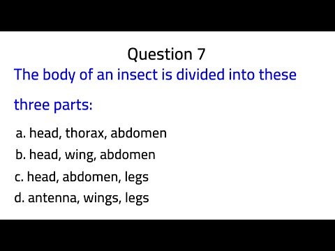 Science Quiz| The Animal Kingdom| Invertebrates