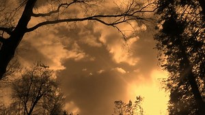 空 飛行機 飛行 - Free video on Pixabay