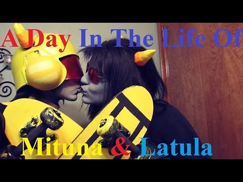 A Day In The Life Of Mitula