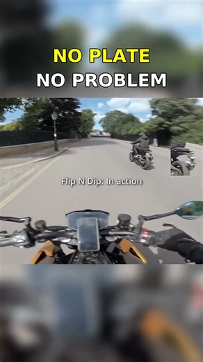 FLIP N DIP PLATE NO PROBLEM