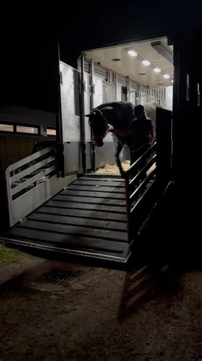 #USAEventing has arrived at their training camp ahead of the @paris2024 Olympic Games! 🇺🇸💪 #TeamUSA | #Paris2024 | USA Eventing