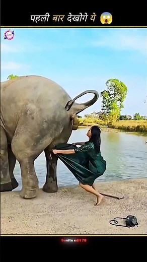 The elephant poop 😱(part 2)#shorts