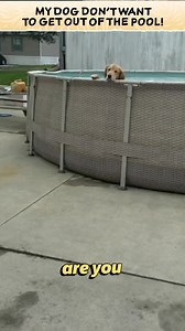 152K views · 1.8K reactions | KLR Productions on Reels | Facebook