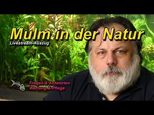 HOW DOES NATURE DEAL WITH SLUM - how do I mulch the sand in my aquarium?