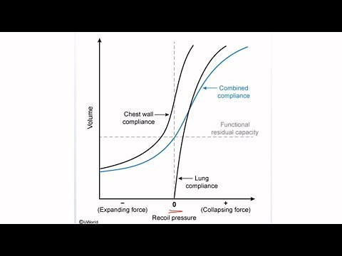 USMLE STEP 1 Questions: Lung Compliance Curves