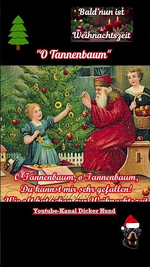 O Tannenbaum #weihnachtslied #christmas #volkslied
