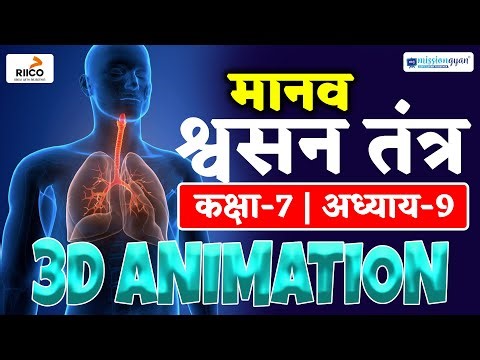 Human Respiratory System 3d Animation | Class 7th Respiratory System 3d Animation | Ekaksha