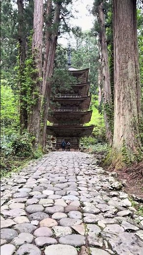 国宝 羽黒山五重塔 出羽三山神社 2026.04.29撮影 山形県鶴岡市