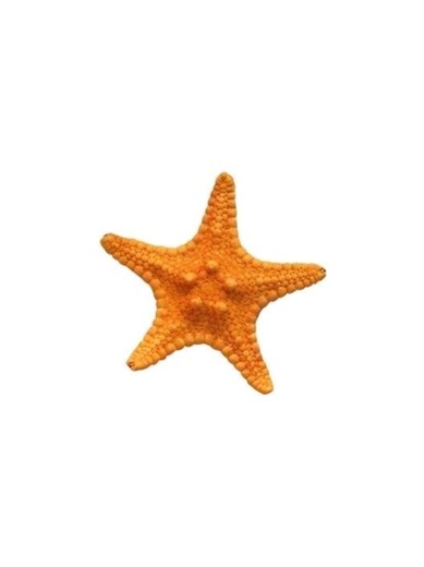 I nearly tumbled down the stairs making this.. #annoyingorange #rant #viral? #orangeslime