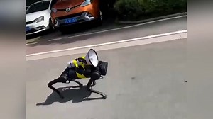 Robotic #RobotDog, patrolling through Shanghai streets due to...