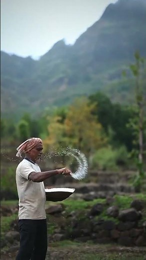 Indian Village Farming: Traditional Agriculture Methods #villagelife #lifeisbutadream