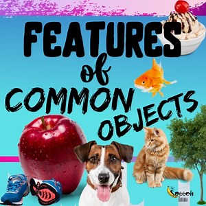 Features of Common Objects