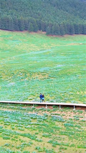 208K views · 6.6K reactions | 中國甘肅，海拔3000米的祁連山冰溝河風光。 The scenery of Binggou River in the Qilian Mountains at 3,000 meters above sea level, Gansu, China. | 爱摄影的老甘 | Facebook