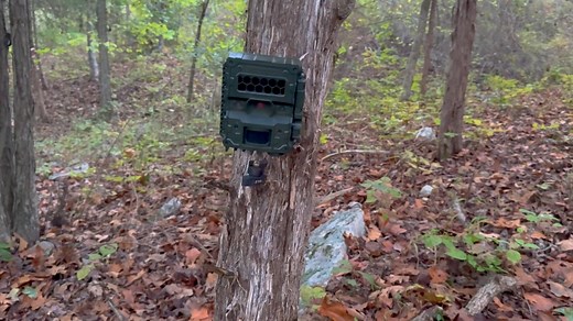 1.1K views | Lets setup and review the new line of Reconyx HyperFire 4K cameras. #reconyx #TrailCamera #trailcamera Get yours Here: https://www.trailcampro.com/collections/reconyx-trail-cameras | Trailcampro.com | Facebook