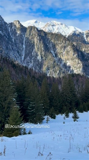 Peisaj de iarnă în Munții Bucegi, zona Cabanei Diham, ianuarie 2026 #munte #mountains #romania #trekking #trending | Locuri din inima mea