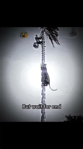 tiger mask prank 😱 #viralvideo #tiger #shorts #prank #viralvideo