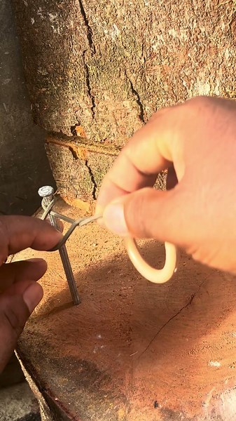 magic trick how to remove a ring from a rope without having to cut it #outdoors #reels #diy #magic