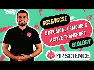 Diffusion | Osmosis | Active Transport | GCSE | IGCSE Biology | Mr Science in 8K