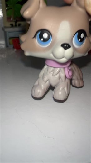 ##LPScollector #lpstoker❤️😭🎊 #lpscollection #lpspopular #lps #trend #fyp