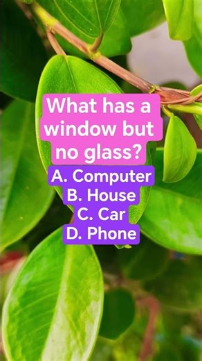 What has a window but no glass?