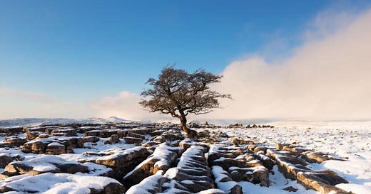 Time Lapse: Earth Song