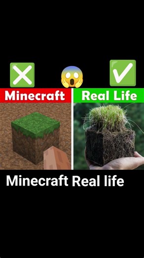 Minecraft vs real life 😱 Minecraft versus real life 😱