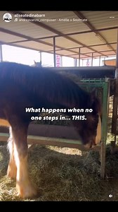 140K views · 2.8K reactions | We were notified about two baby draft...