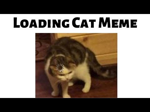 Loading Cat - Meme Compilation