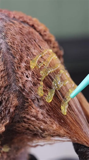 Creative color 2026 and beyond! @tututabbie | Hair Color Ideas