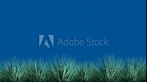 Isolated meadow on blue screen,grass background chroma key. Stock Video