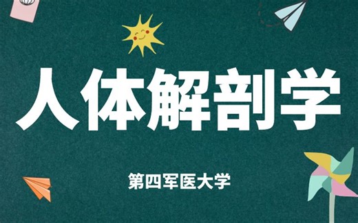 《人体解剖学》课程全集完整版-第四军医大学