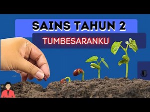 Sains Tahun 2-Tumbesaranku