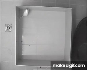 Open field test on Make a GIF