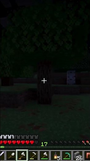 Top Minecraft Expert Reveals BEST Survival Techniques