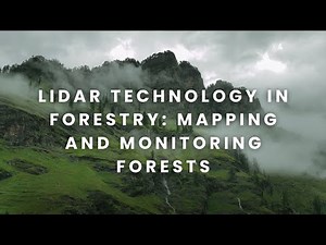 LiDAR Technology in Forestry: Mapping and Monitoring Forests