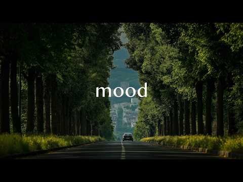 Sunny Day Drive Pop 🚗☀️ | Road Trip Feel-Good Pop