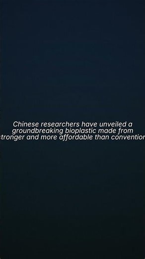 Bamboo: The Unlikely Hero in the War Against Plastic Waste