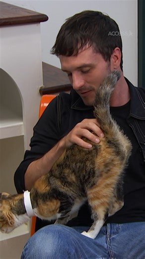 #JoshHutcherson playing with cats to cleanse your timeline ❤️ | Access
