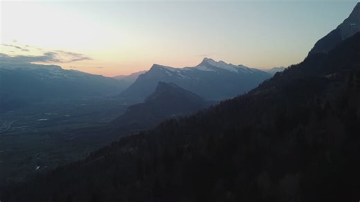 Forest, Valley, Landscape. Free Stock Video