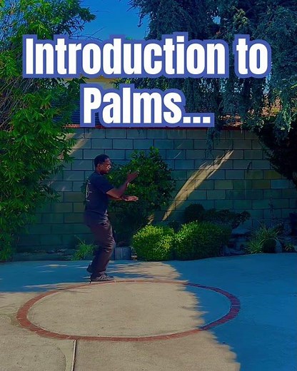 BaGua Circle Walking | Martial Arts