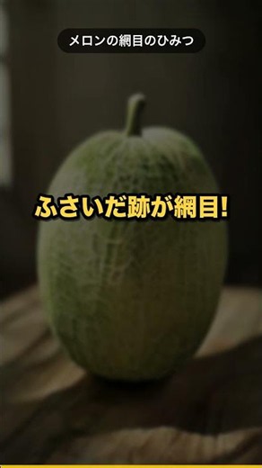 メロンの網目、実は「傷」なんです #shorts #雑学