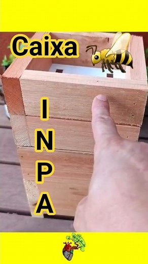 Parts of the INPA box for Jataí bees #notjustavegetablegarden #jataíbees #inpa #pollination