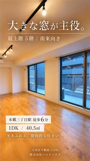 【本郷三丁目】最上階5階・南東向き！大きな窓が印象的な40.5㎡の1DK #本郷三丁目 #文京区賃貸 #文京区不動産