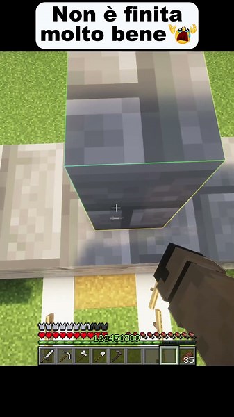 Non è finita molto bene... #minecraft #games #memes #meme #gaming #minecraftmemes #shortsfeed