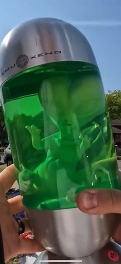 137K views · 2.2K reactions | Found a Baby Alien at a garage sale  #notbad #hustle #hustlers #reseller #fliplife #Garagesale #yardsale #thriftshop #thriftstore #money #profit #fleamarket #swapmeet #deals #ebay #Auction #sold #goodwill #treasure #fun #like #follow #vintage #antique #loveit #sidehustle #makingmoney #alien #aliensighting | Bearded Thrifter | Facebook